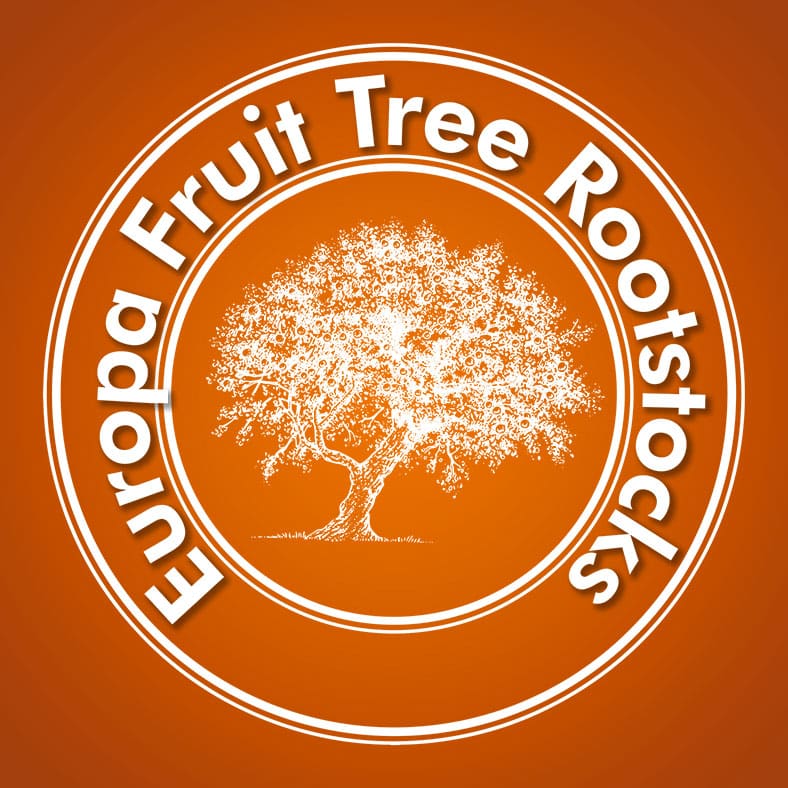 Europa Fruit Tree Rootstocks